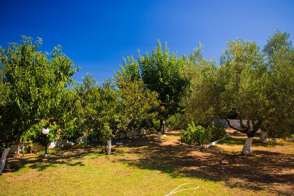 Studio Nastasia Afytos Exterior photo