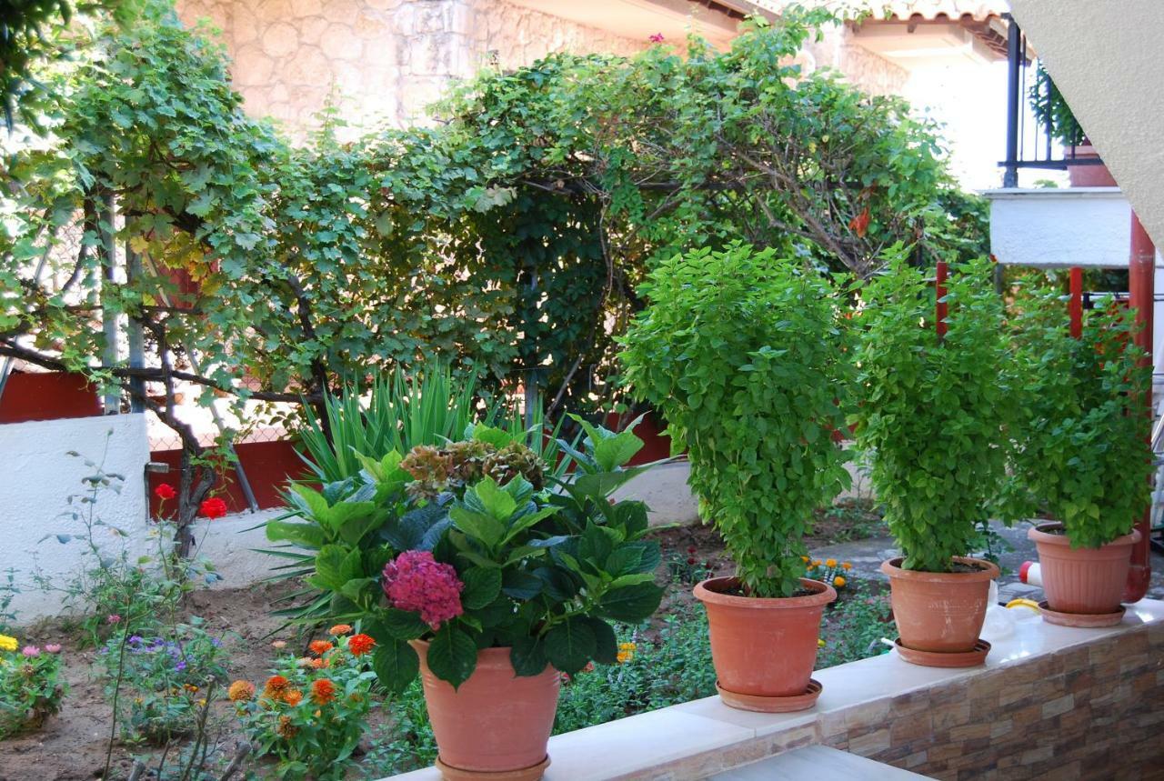 Studio Nastasia Afytos Exterior photo